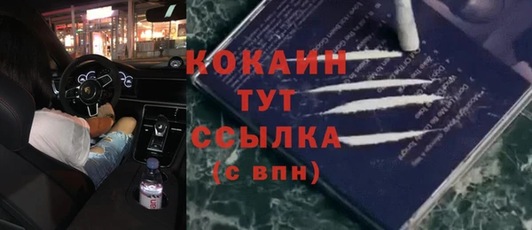 молекула духа Аркадак