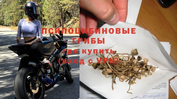 эйфоретик Елабуга