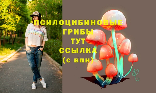 героин Абаза