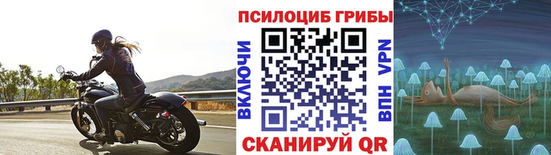 Галлюциногенные грибы мицелий  купить наркоту  Хадыженск 